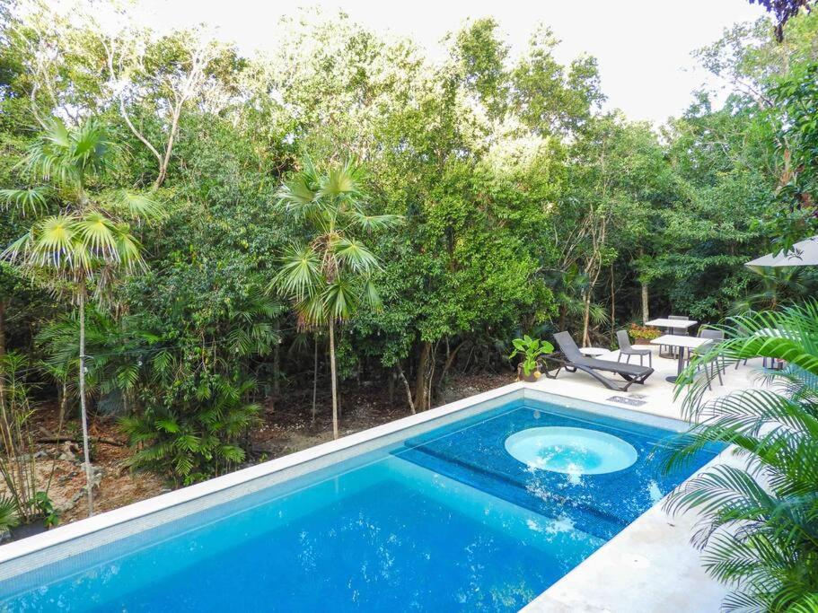 Aku-Chic Newly Furbished Condo Jungle Pool Xetna Ngoại thất bức ảnh